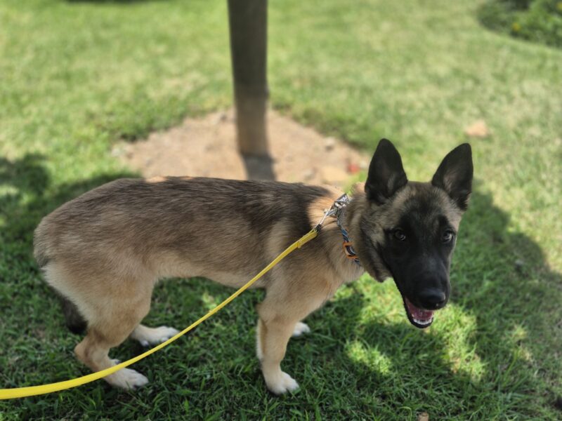 PATA