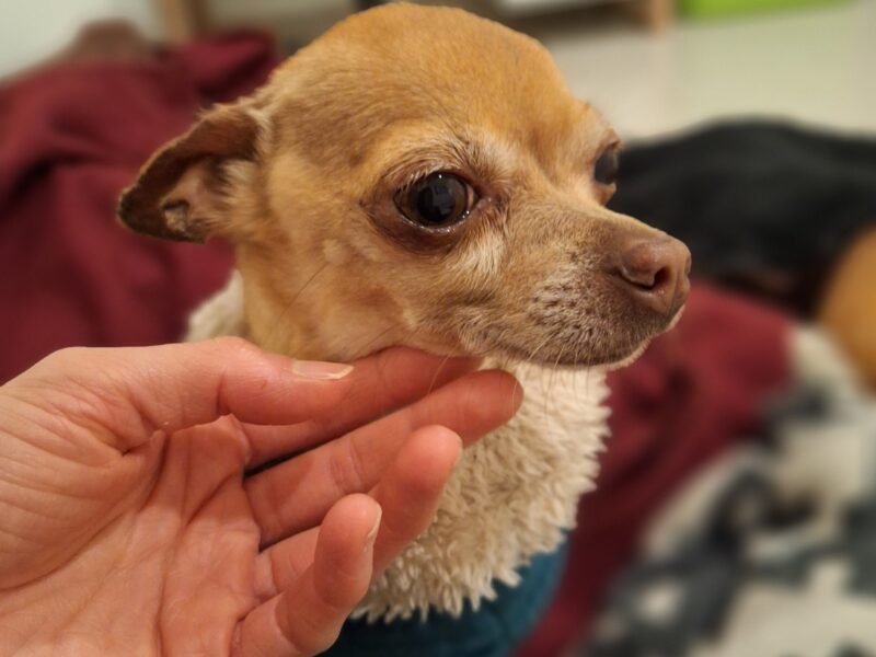 LOLA Y LALO