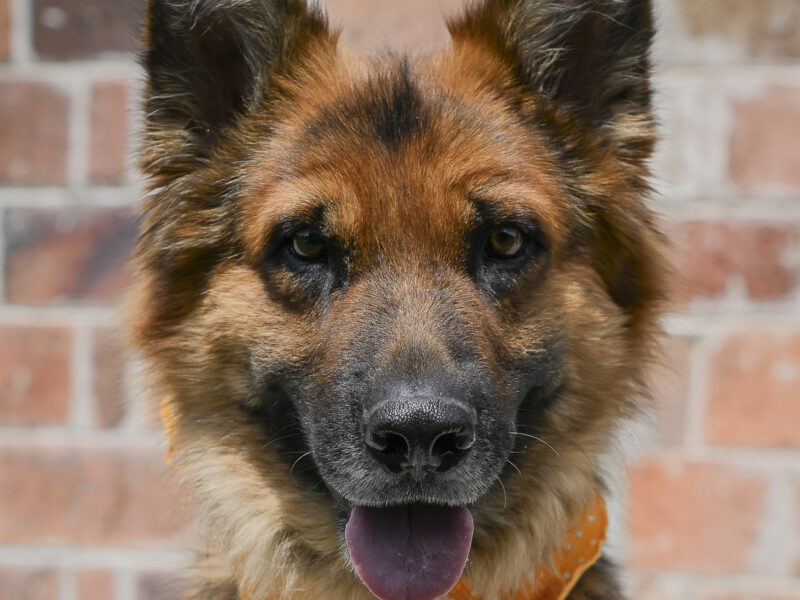LENNY