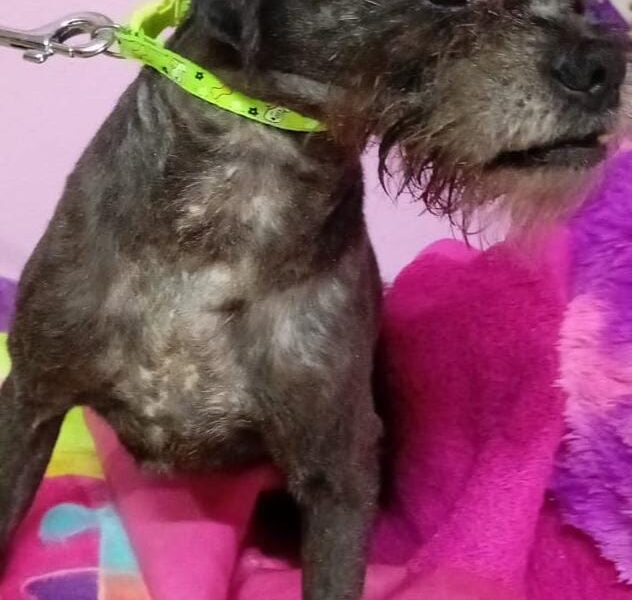 PACO