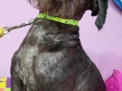 PACO