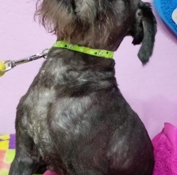 PACO
