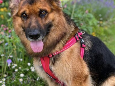 LENNY