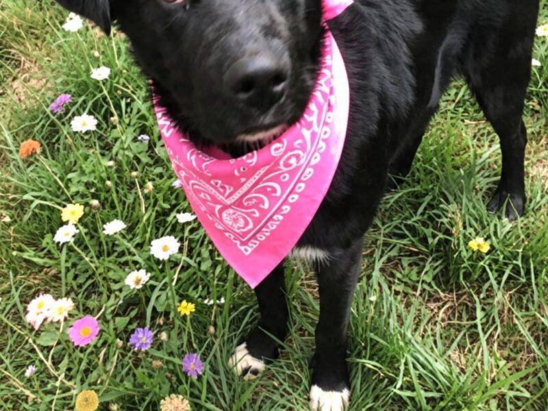 KENYA