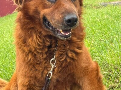OSO