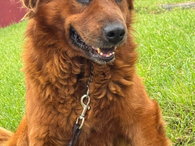 OSO
