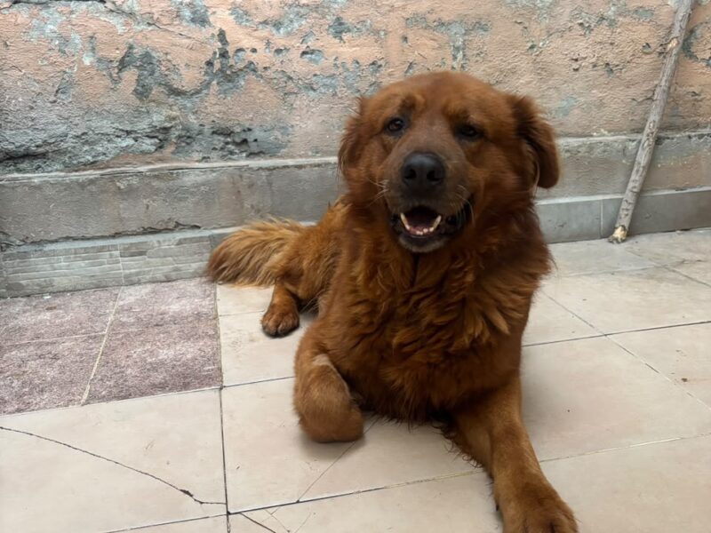 OSO
