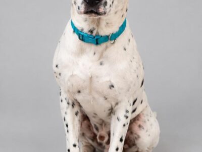 CORA