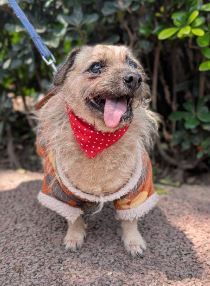 JUANITA