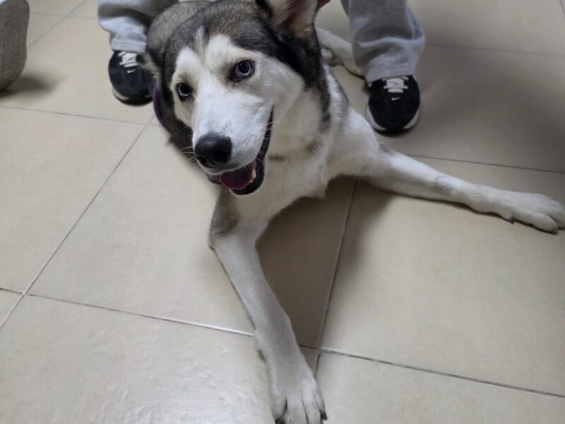 ZURI