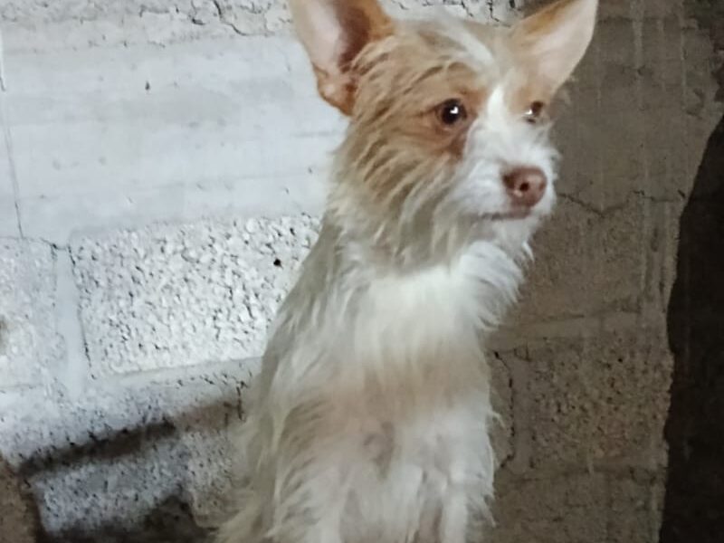 TUZITA