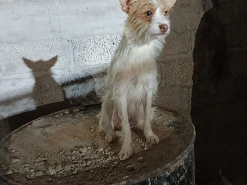 TUZITA