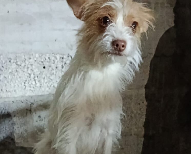 TUZITA