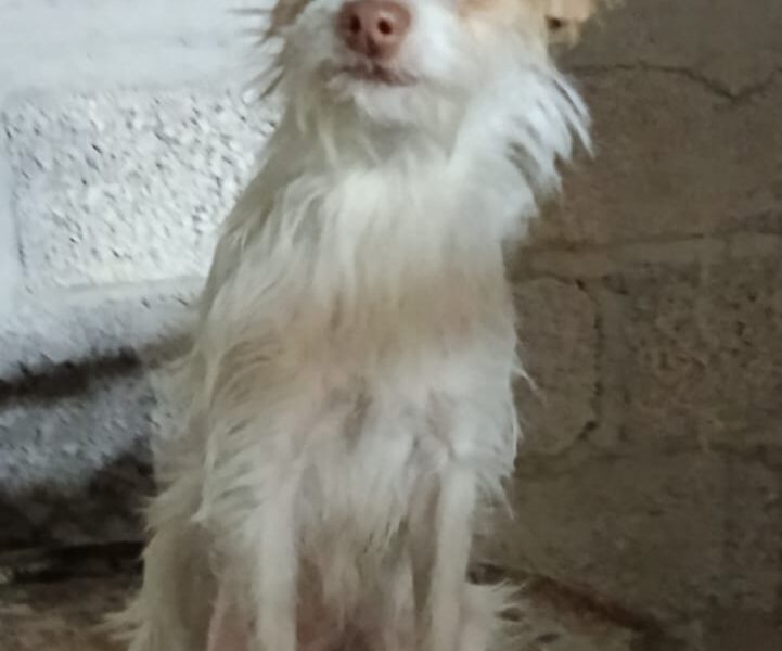 TUZITA