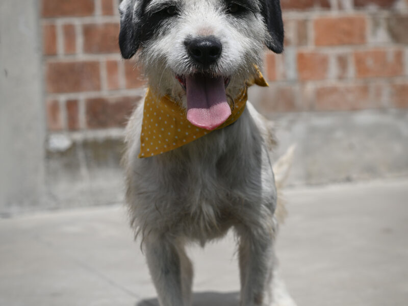 PALOMA