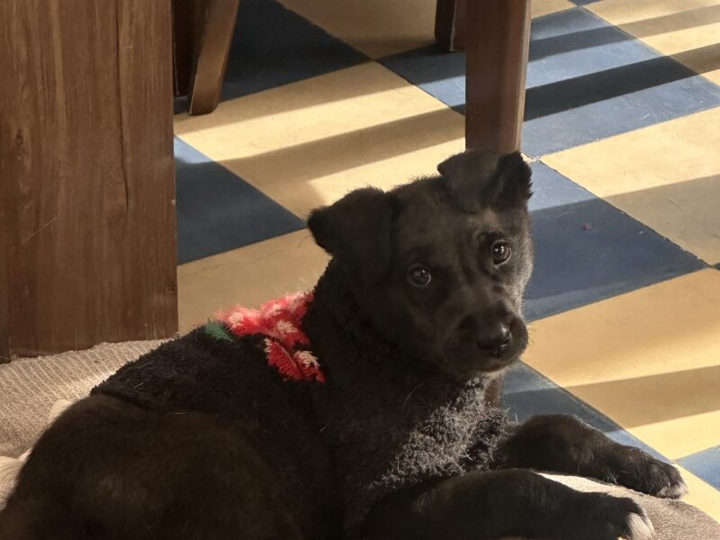 ANGELITA