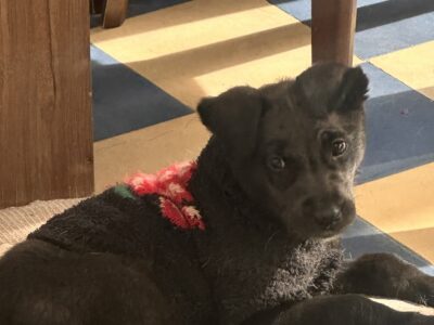 ANGELITA