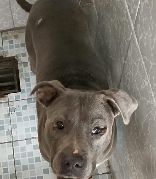 LUNA