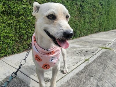 RAMÓN