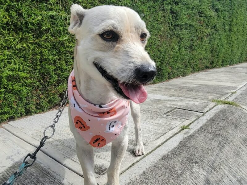 RAMÓN