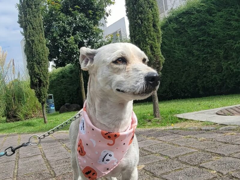 RAMÓN